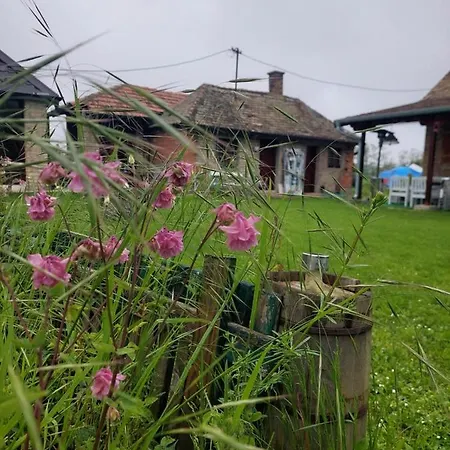 Σπίτι διακοπών Imanje Sa Bazenom *