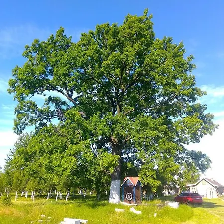 Imanje Sa Bazenom * Ομπρένοβατς