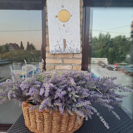 Imanje Sa Bazenom